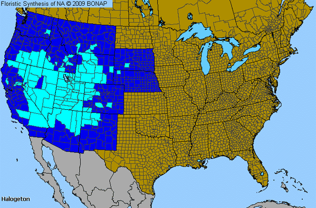 Allergies By County Map For Saltlover