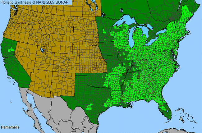 Allergies By County Map For Witch-Hazel