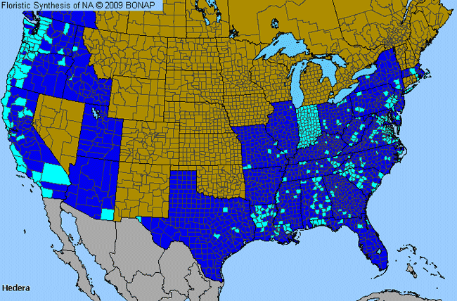 Allergies By County Map For English-Ivy