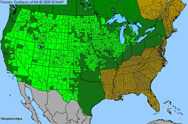 Allergies By County Map For Needle Grass, Porcupine Grass