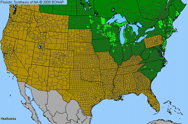 Allergies By County Map For Golden-Heather