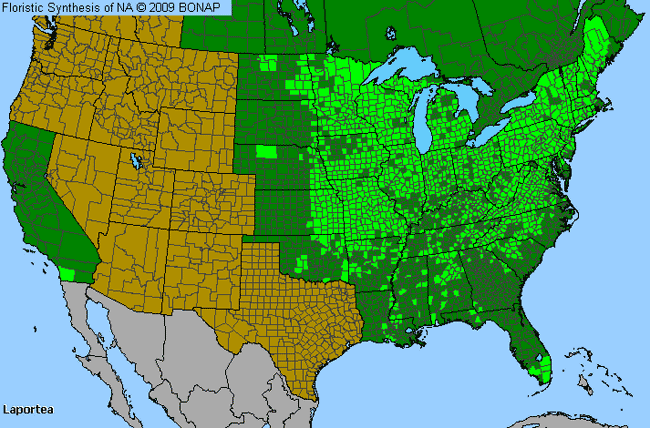 Allergies By County Map For Wood-Nettle