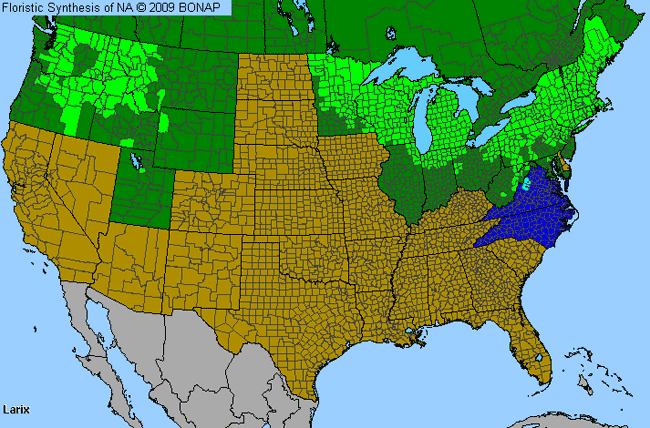 Allergies By County Map For Larch