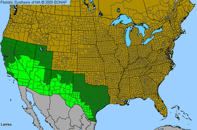 Allergies By County Map For Creosote-Bush Greasewood