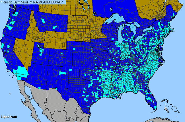 Allergies By County Map For Privet