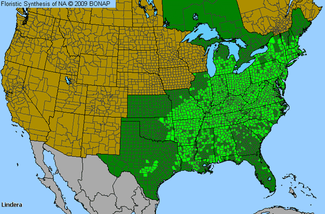 Allergies By County Map For Spicebush