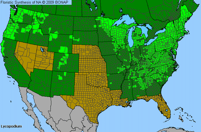 Allergies By County Map For Ground-Pine