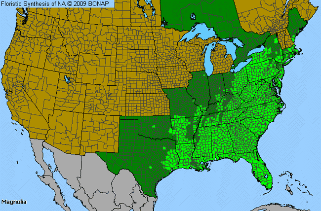 Allergies By County Map For Cucumber-Tree, Magnolia