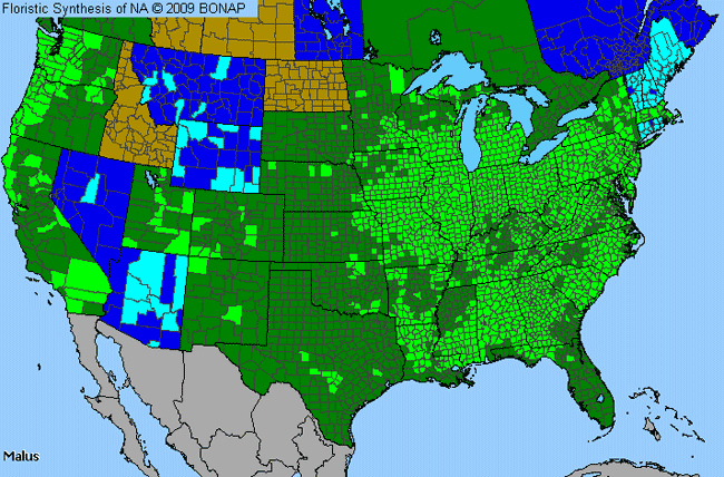 Allergies By County Map For Apple, Crabapple