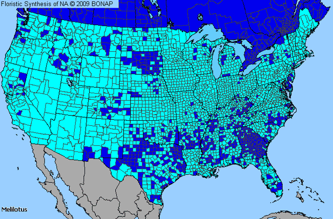 Allergies By County Map For Sweet-Clover