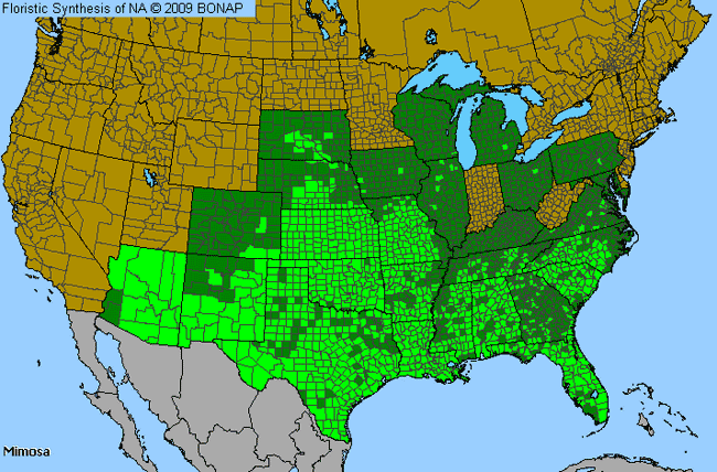 Allergies By County Map For False Sensitive-Plant, Mimosa