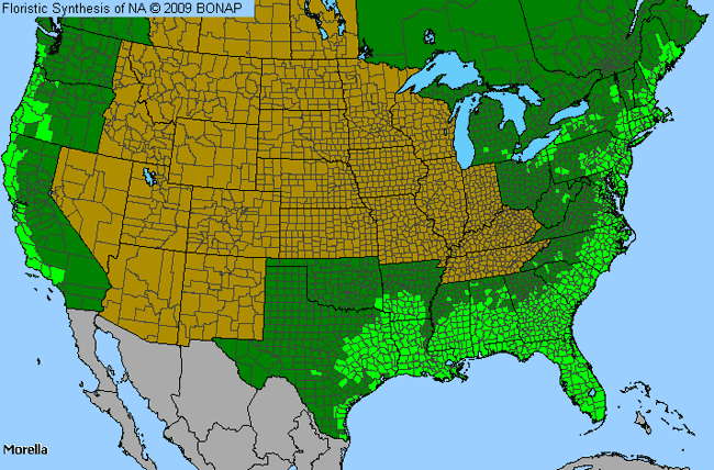 Allergies By County Map For Bayberry