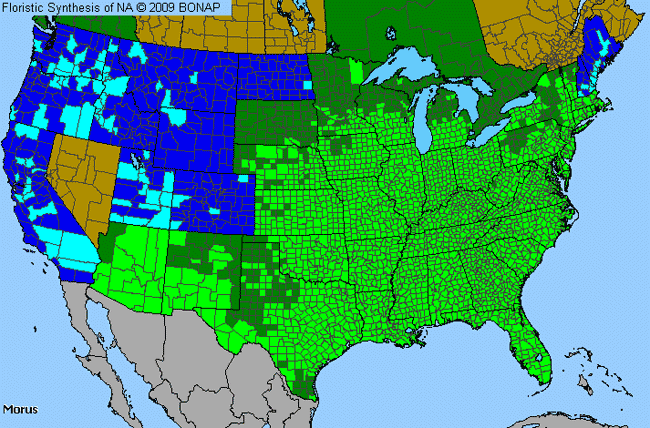 Allergies By County Map For Mulberry