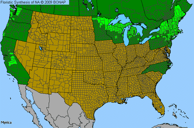 Allergies By County Map For Sweetgale, Wax Myrtles, Bayberry