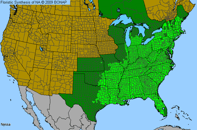 Allergies By County Map For Tupelo