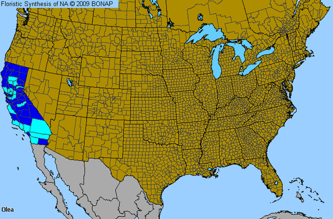 Allergies By County Map For Olive