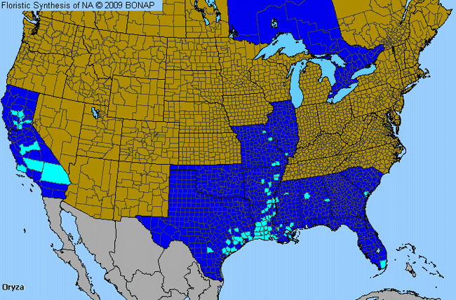 Allergies By County Map For Rice