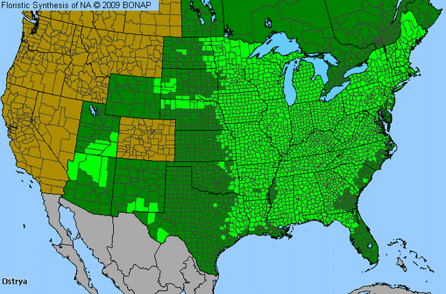 Allergies By County Map For Hop-Hornbeam