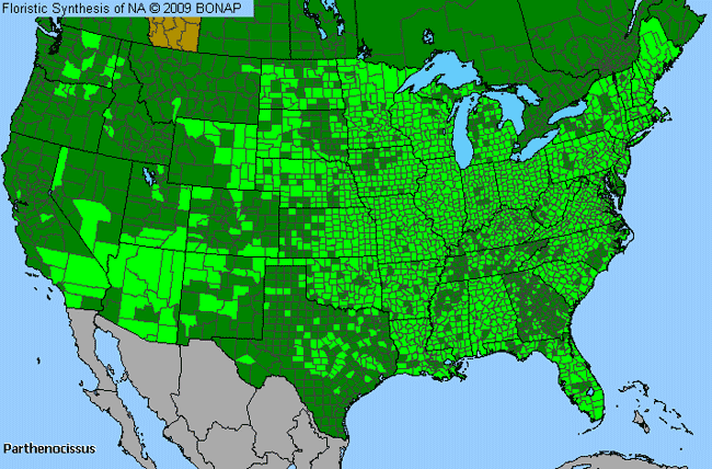 Allergies By County Map For Virginia-Creeper