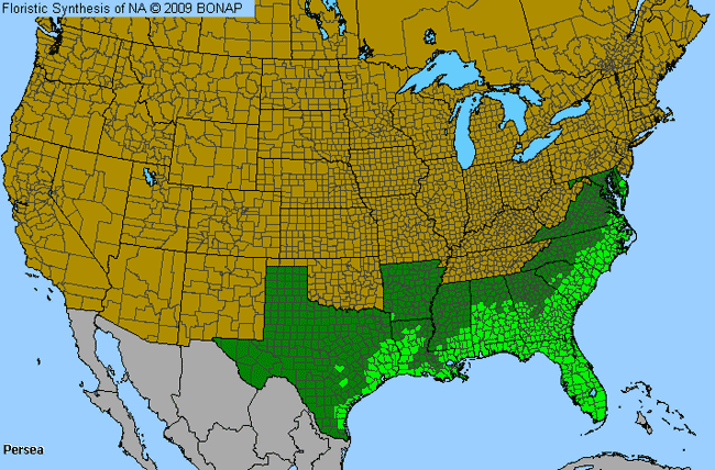 Allergies By County Map For Avocado, Bay