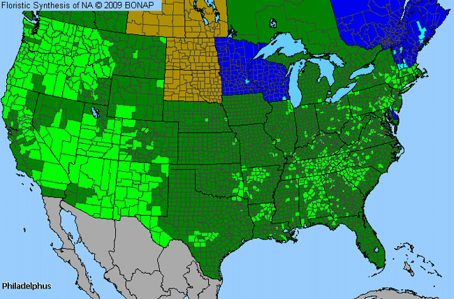 Allergies By County Map For Mock Orange