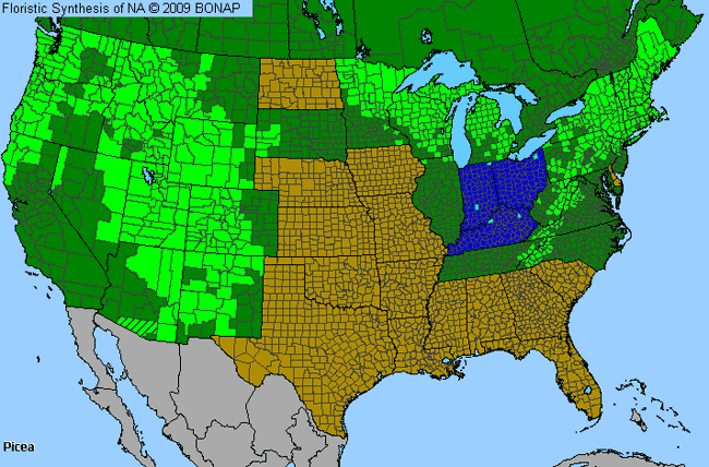 Allergies By County Map For Spruce