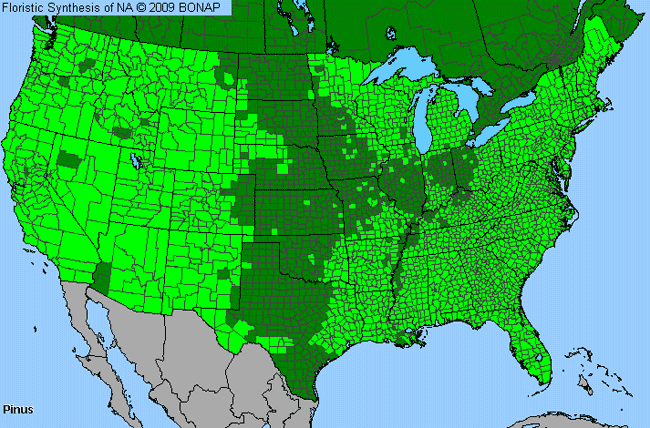 Allergies By County Map For Pine