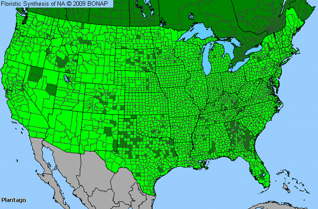 Allergies By County Map For Plantain