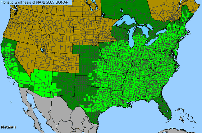 Allergies By County Map For Planetree, Sycamore