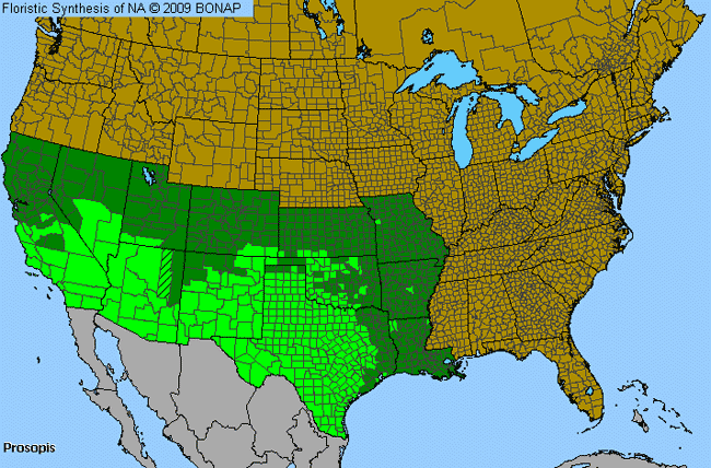 Allergies By County Map For Mesquite, Screw-Bean