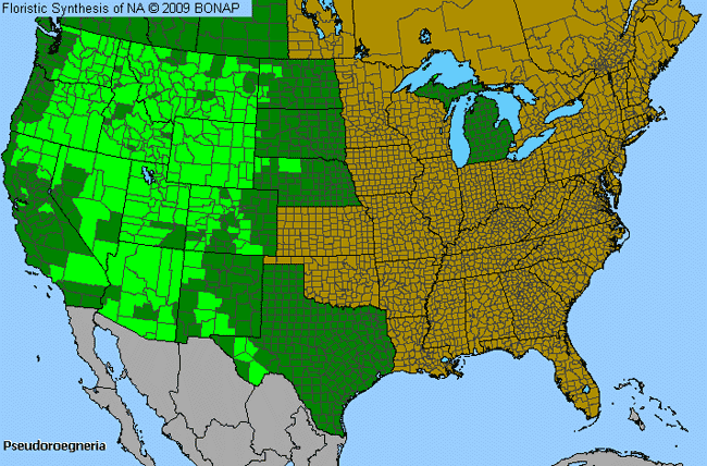 Allergies By County Map For Bluebunch-Wheat Grass