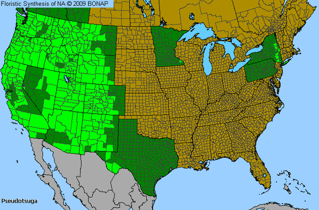 Allergies By County Map For Douglas-Fir