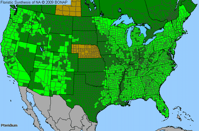 Allergies By County Map For Bracken Fern