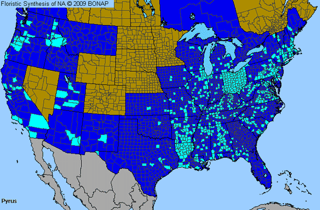 Allergies By County Map For Pear