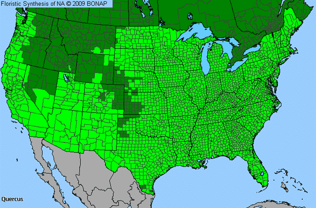 Allergies By County Map For Oak