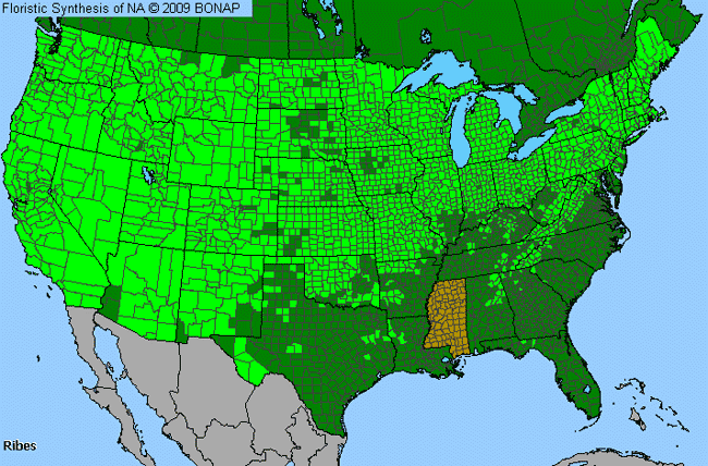 Allergies By County Map For Currant, Gooseberry