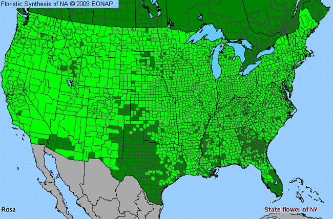 Allergies By County Map For Rose