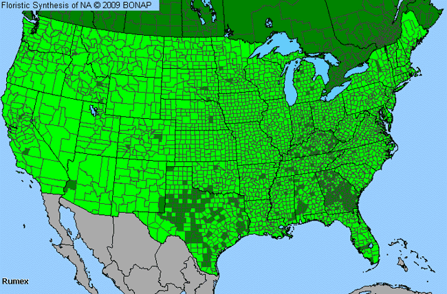 Allergies By County Map For Dock, Sorrel