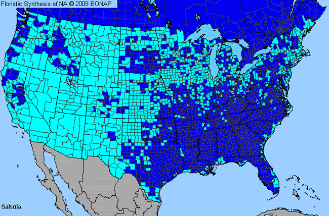 Allergies By County Map For Russian-Thistle