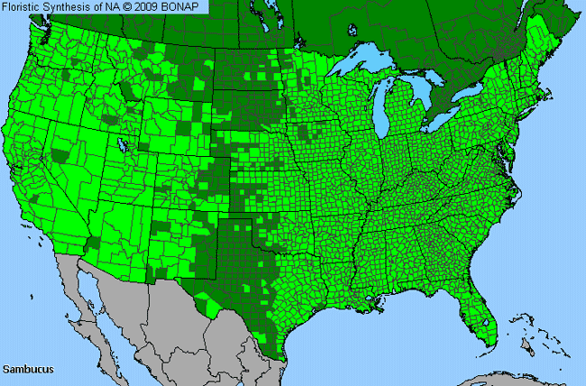 Allergies By County Map For Elder, Elderberry