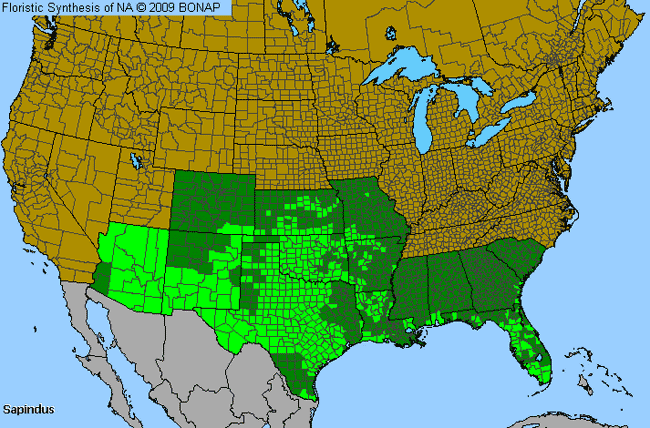 Allergies By County Map For Soapberry