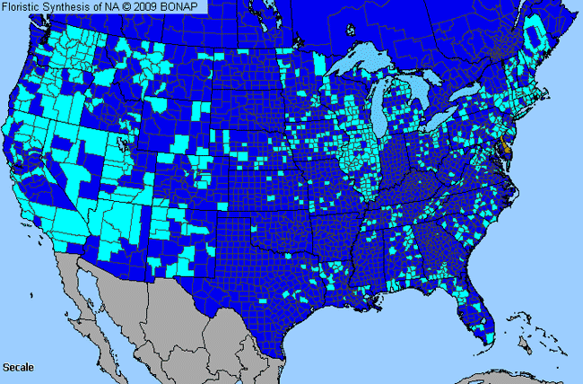 Allergies By County Map For Rye