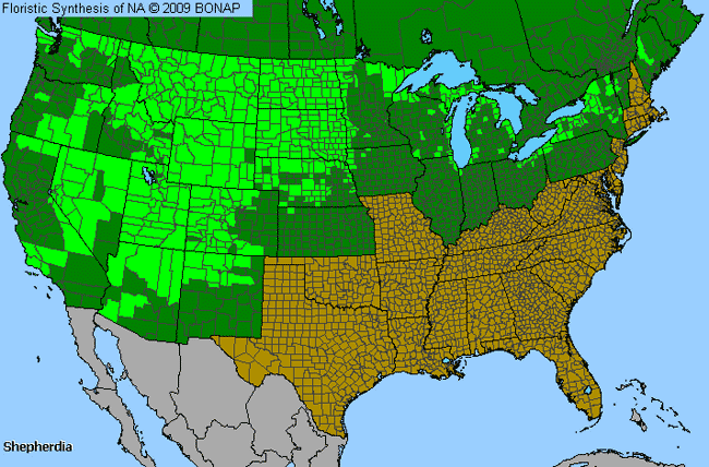 Allergies By County Map For Buffalo-Berry