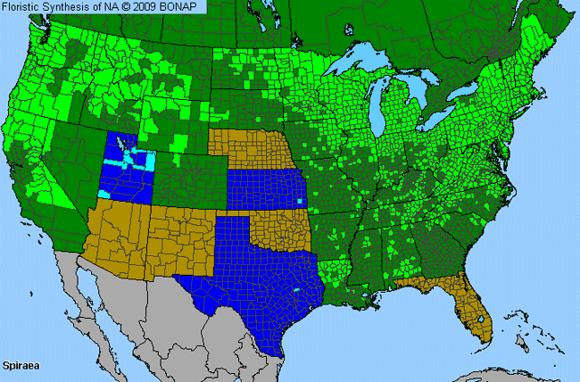 Allergies By County Map For Meadowsweet