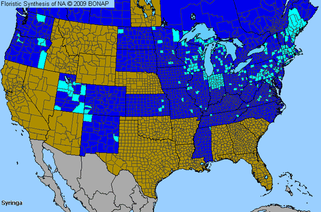 Allergies By County Map For Lilac