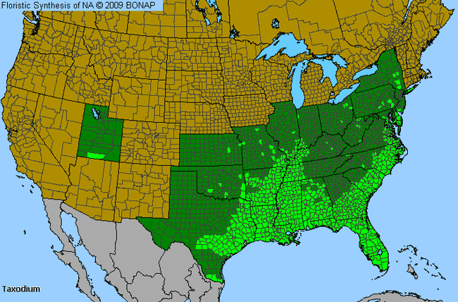 Allergies By County Map For Bald-Cypress, Pond-Cypress