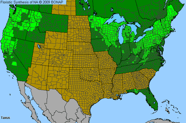 Allergies By County Map For Yew