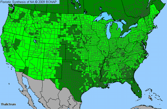 Allergies By County Map For Meadow-Rue