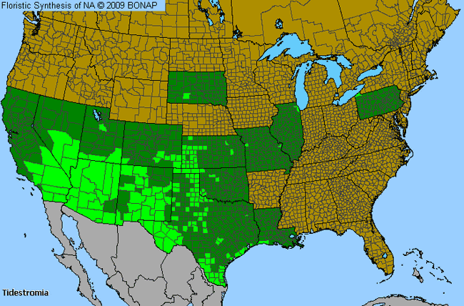 Allergies By County Map For Honeysweet