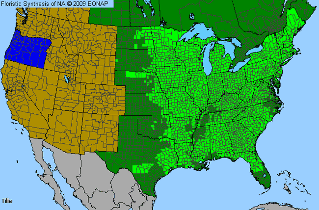 Allergies By County Map For Basswood, Linden